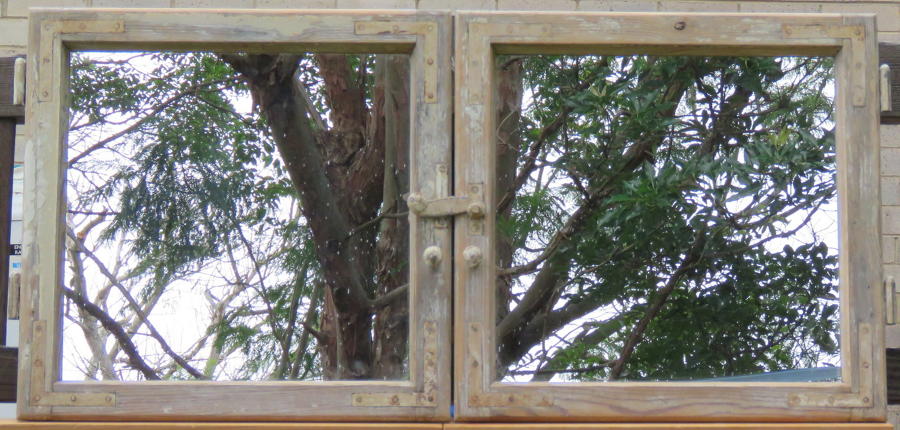 Antique French window mirrors