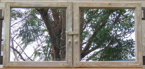 Antique French window mirrors